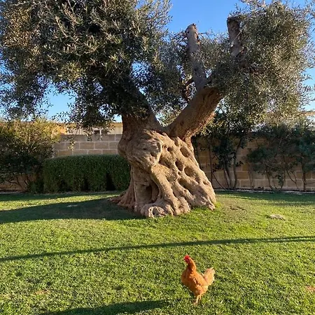 Masseria Sacramento * Palagianello