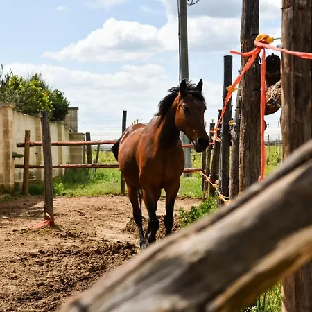 Séjour à la ferme Masseria Sacramento