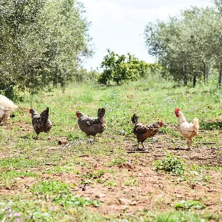 Masseria Sacramento Séjour à la ferme *